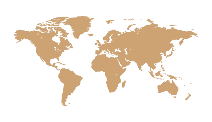 Marketing Network